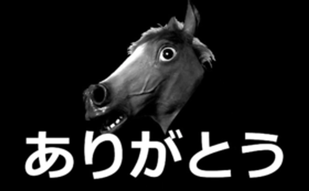 ただただ応援プラン