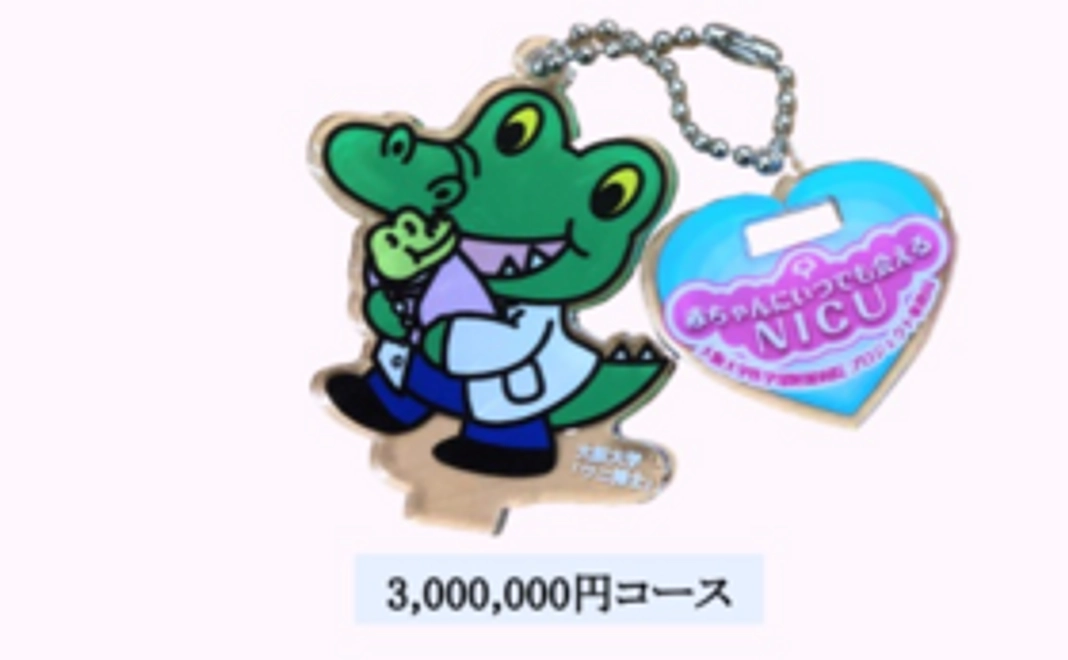 3,000,000円コース