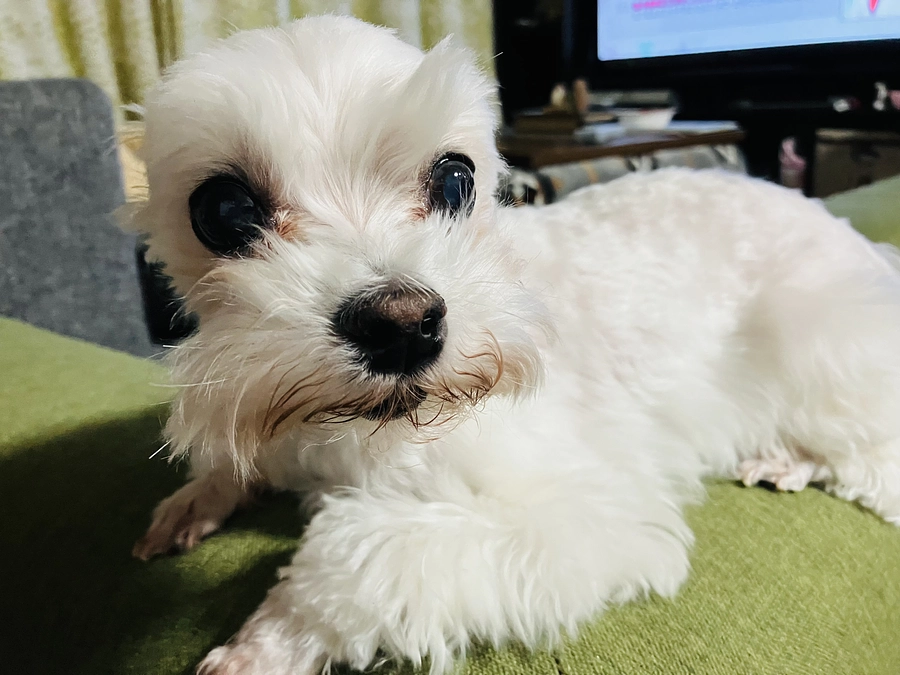 いつも応援ありがとうございます！