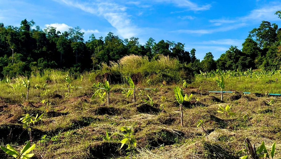 【チョコリコ農園】ガゼボの建設準備が始まりました♪