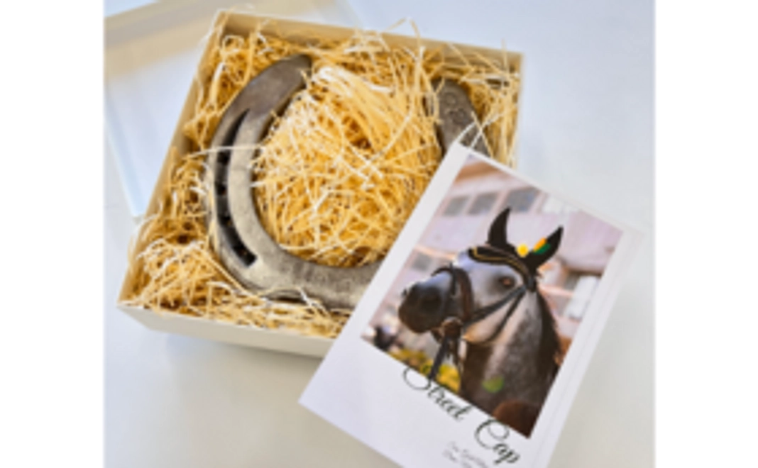 TCCホースの蹄鉄＋モザイクアート参加【4枚】