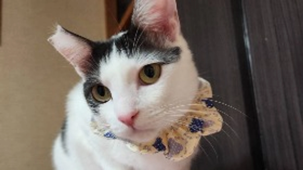 【残り20日！】ご支援物資に支えられています