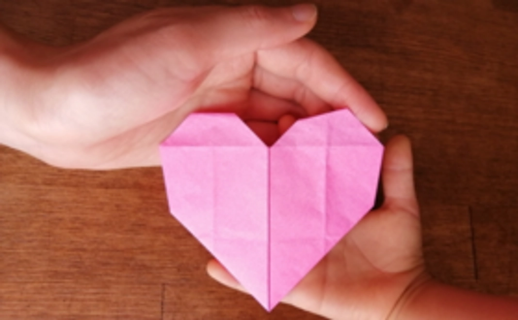 活動報告をまとめたDVD・報告書