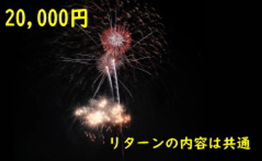 20,000円 +システム利用料(220円)