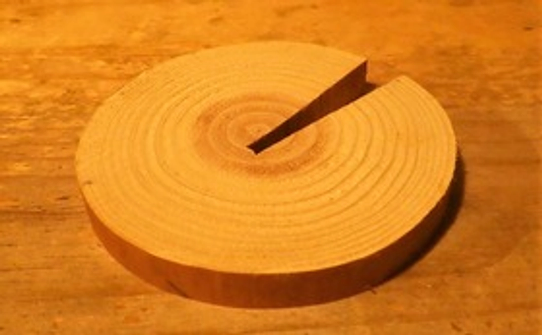 京都･北山杉の輪切り