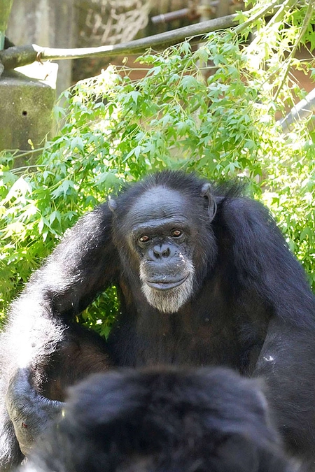 50%を超えました！