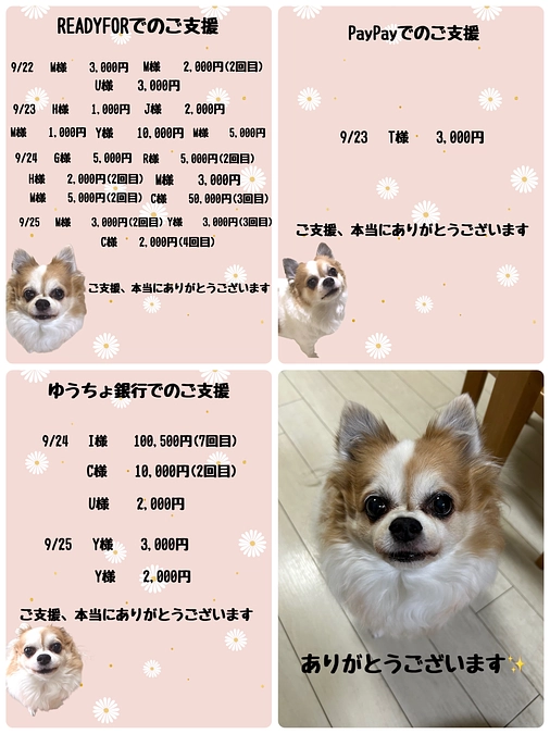 9月22日から9月25日までのご支援