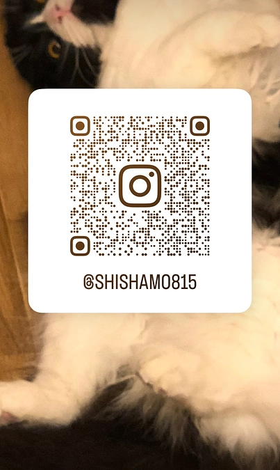 残り14日。ZOZOししゃも🐈