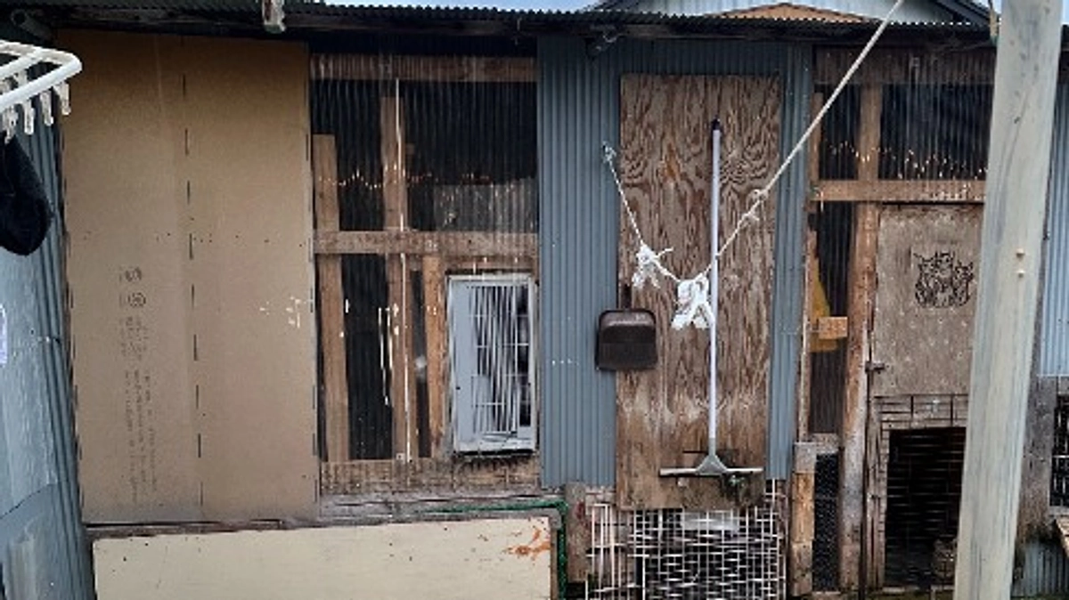 猫の家の改装 この古い建物は通気性が悪いので、解体して新しいものを作る必要があります。あなたの助けを