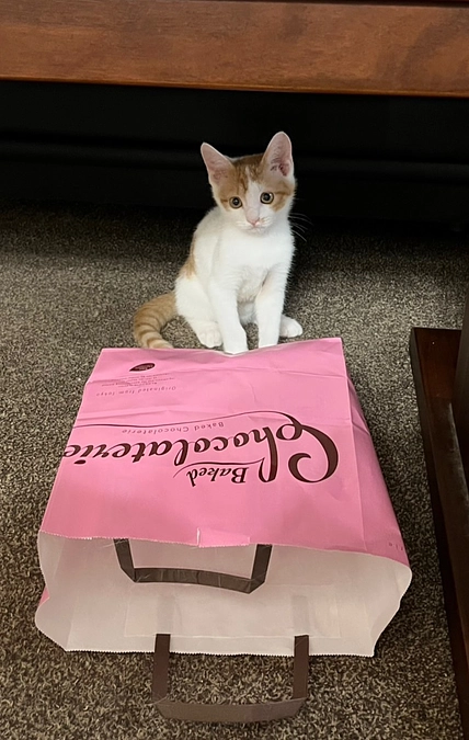 元気に成長しています