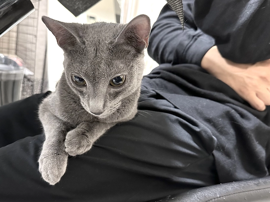 【ご挨拶】投薬1日目