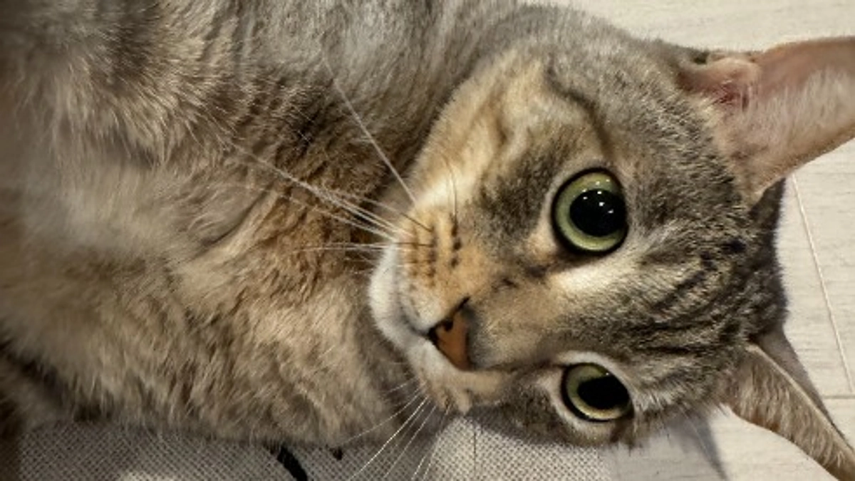 経過報告 4/21病院