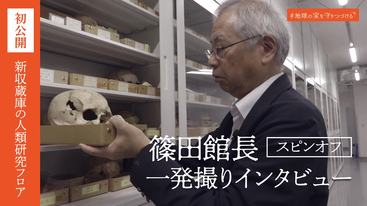 【初公開】館長館長が案内する新収蔵庫・人類研究部フロア