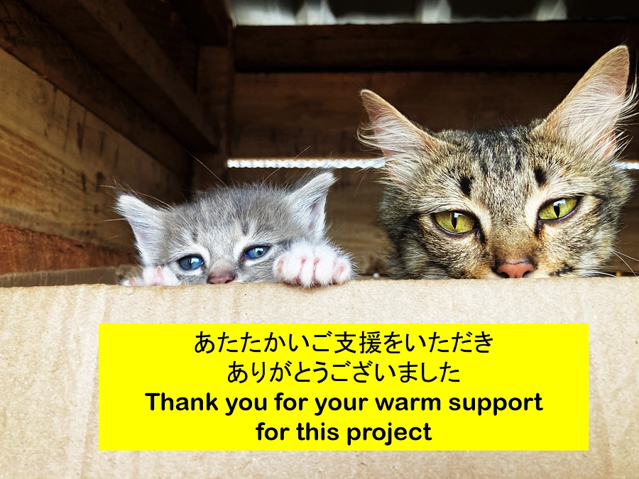 ご支援ありがとうございました。