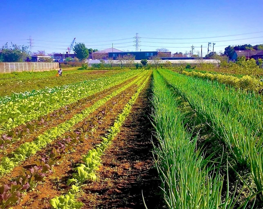 クラウドファンディング挑戦終了まで後15時間あまり…最後の朝です！