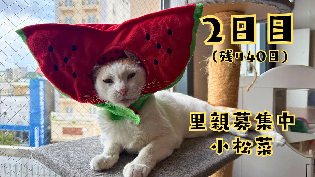 1日目の目標金額を達成できました！(8/21。2日目）