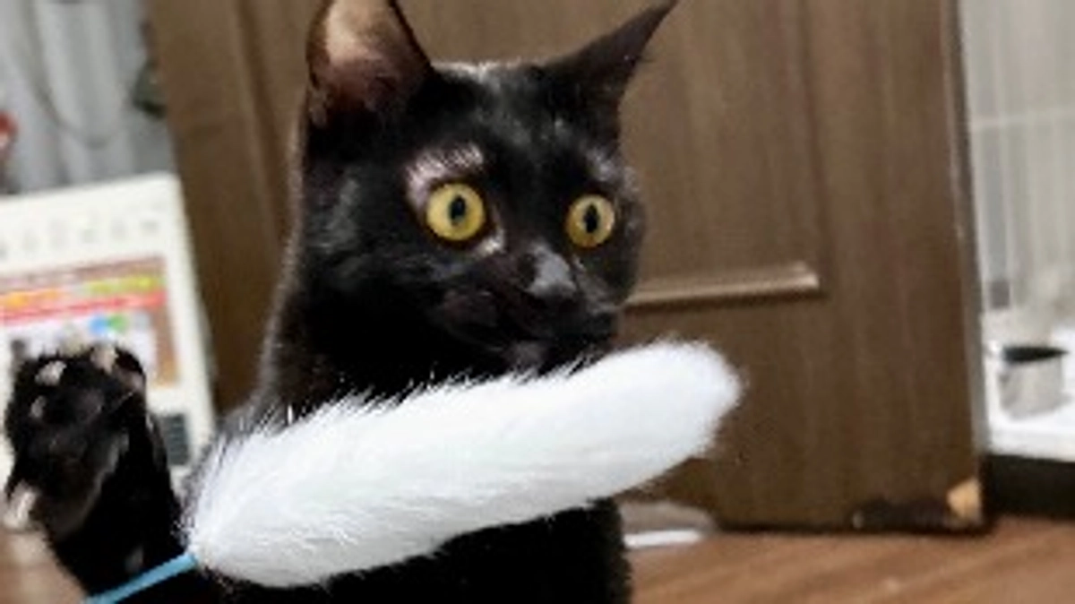 むぅちゃんお疲れ様。