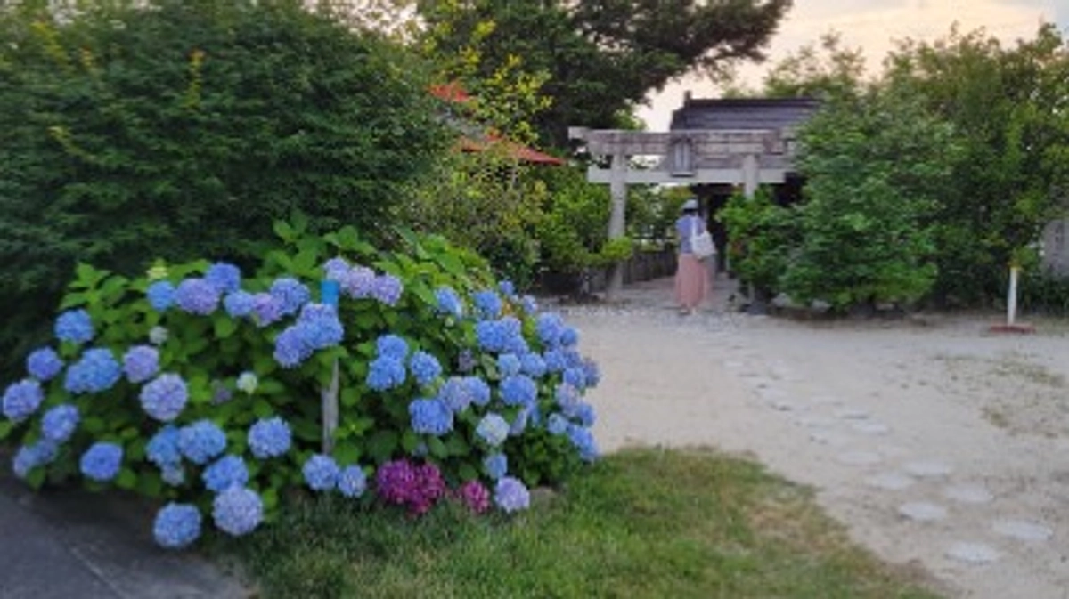 いよいよ明日手術です。