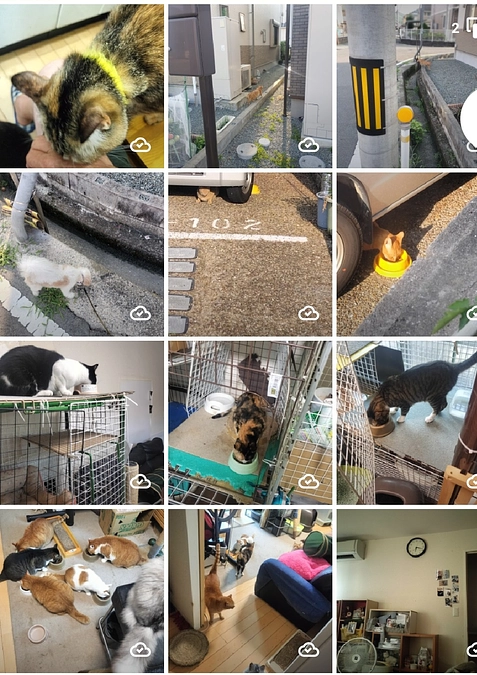 皆様方のご支援で目標額を達成できました。