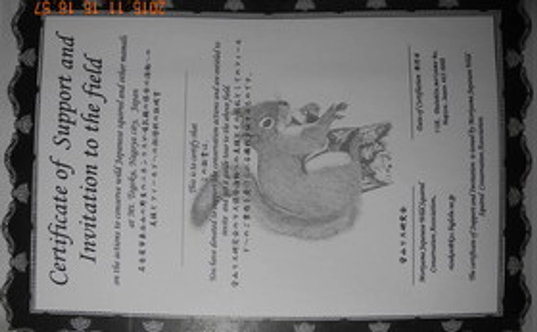 お礼状、支援証明書＆招待状、支援シール