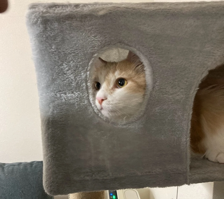 11/24経過観察9日目・ご支援金を受け取りました！