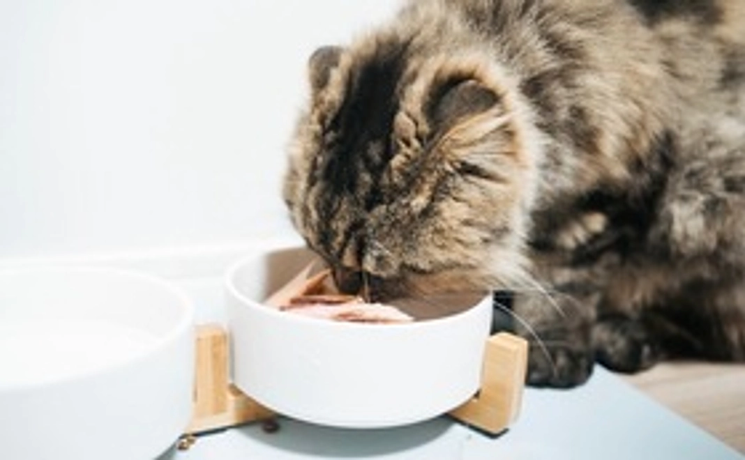 感謝のメール 3,000円