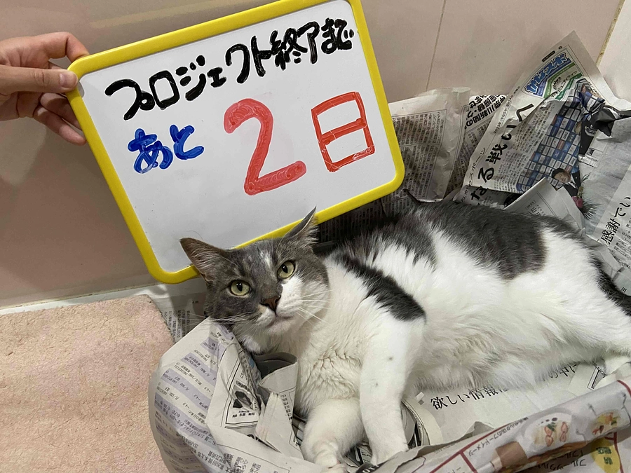 終了まで　残り【2日】になりました！