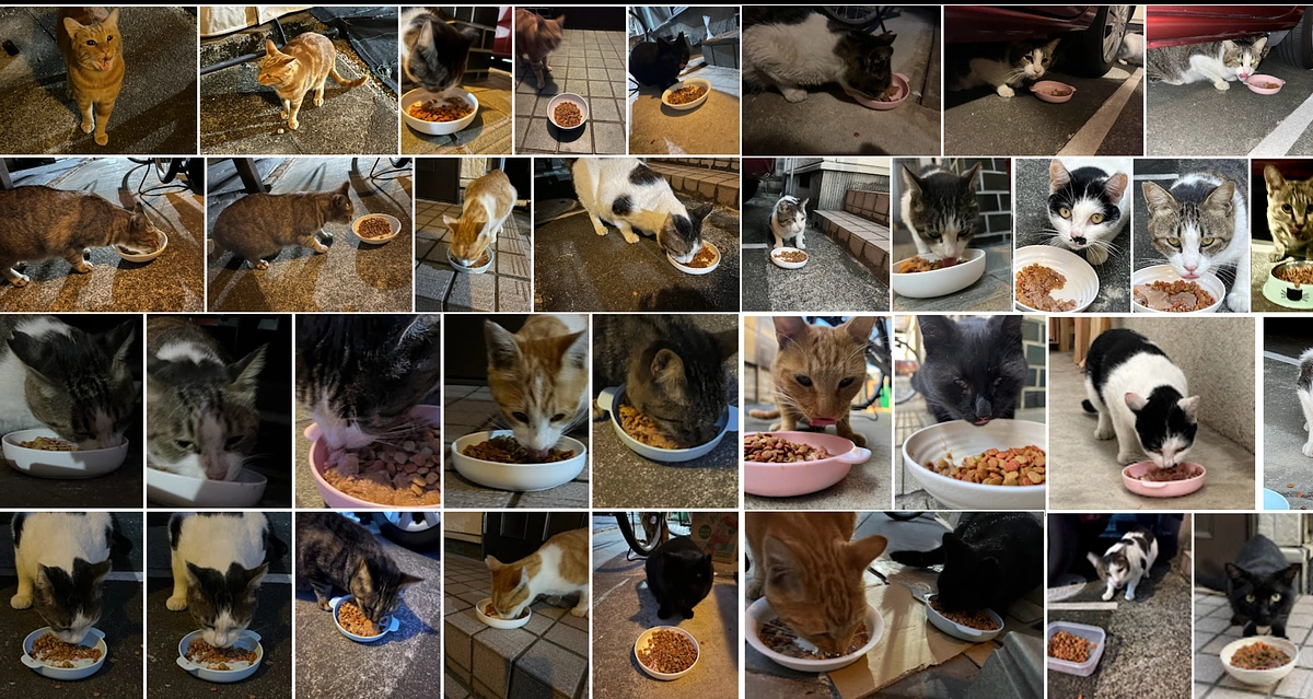 【活動報告】365日の約束