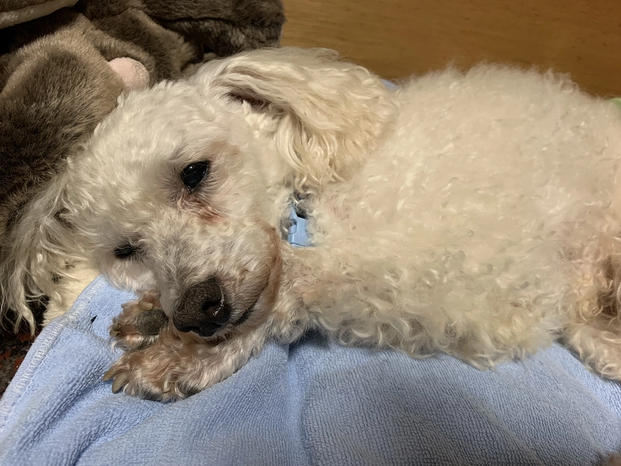 本当にありがとう。