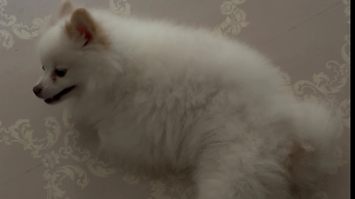 久しぶりに長い麻痺症状💧