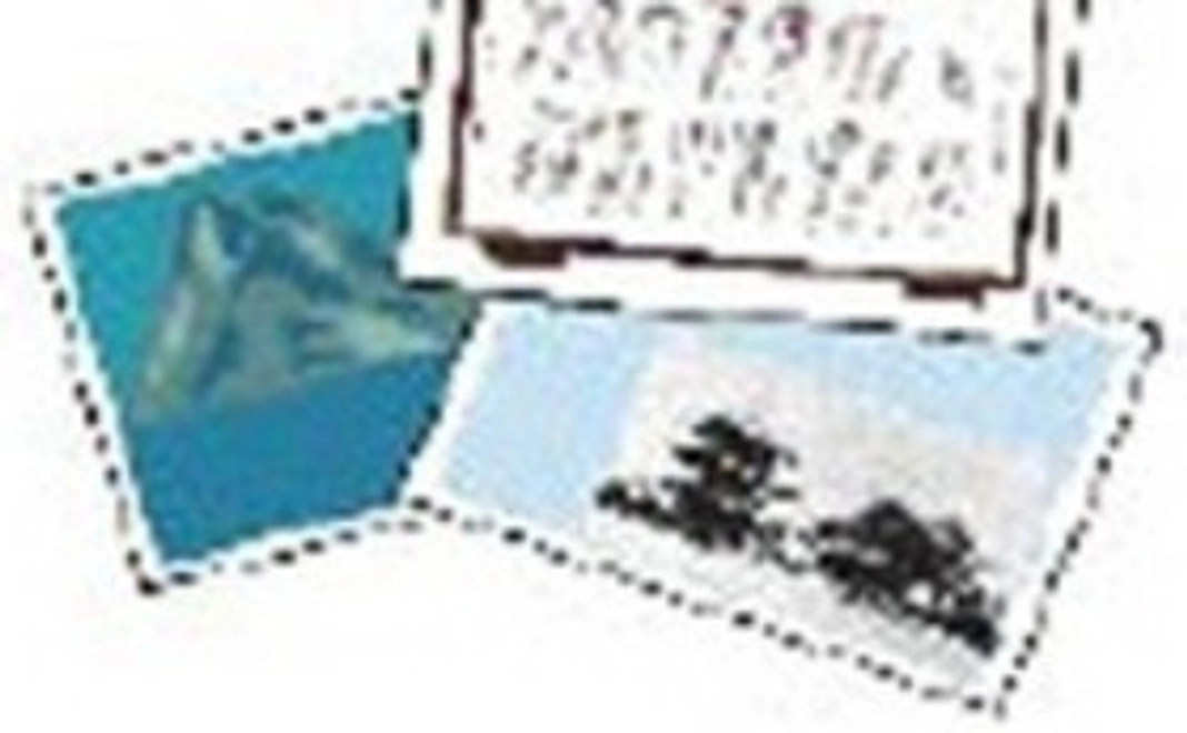 算額写真で感謝