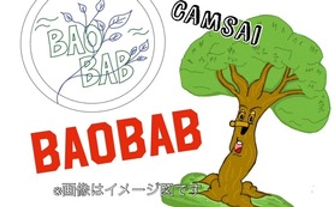 BAOBABオリジナルステッカー・活動報告書