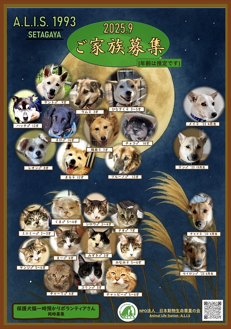 譲渡会のご報告🐶🐱