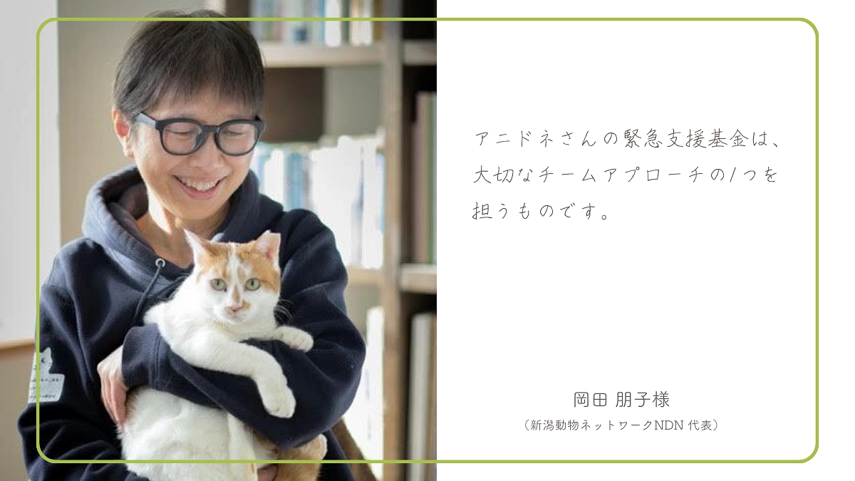 岡田 朋子様（新潟動物ネットワークNDN 代表）からの応援メッセージのご紹介！