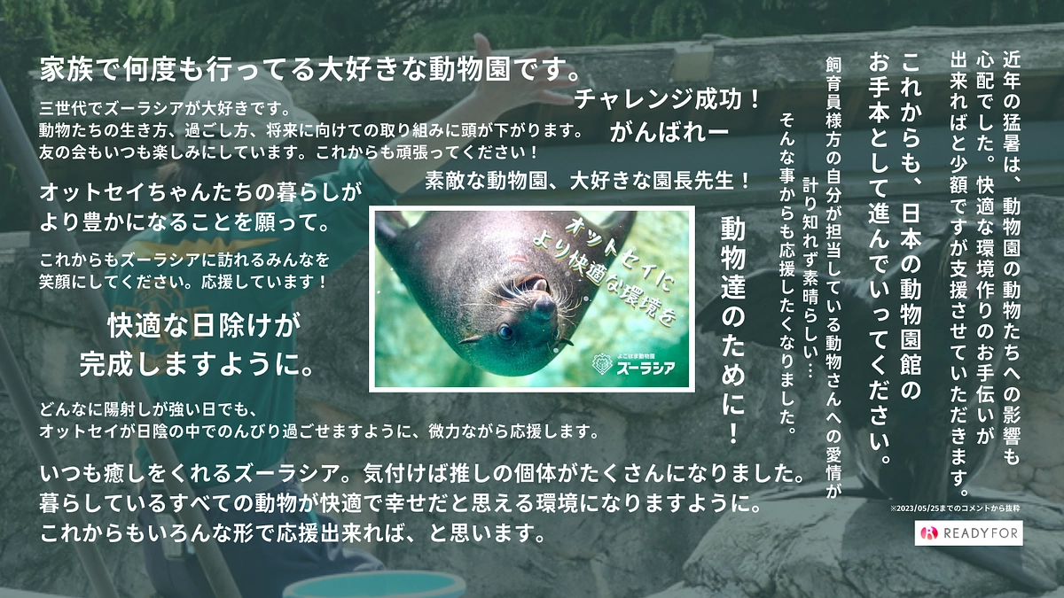 皆様からのあたたかい応援コメントのご紹介