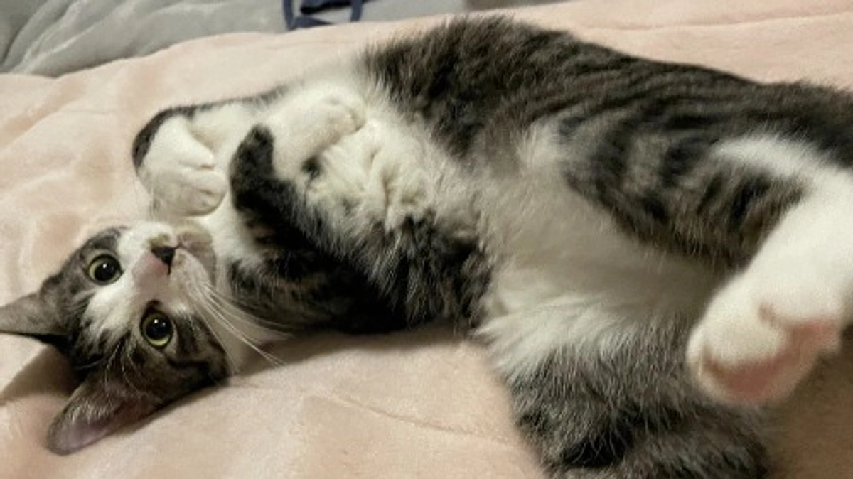 3月になりました。