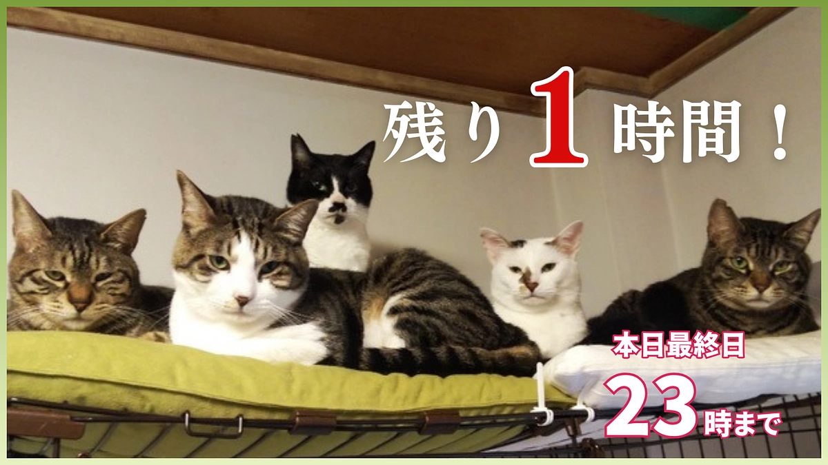 いよいよ、残り1時間となりました