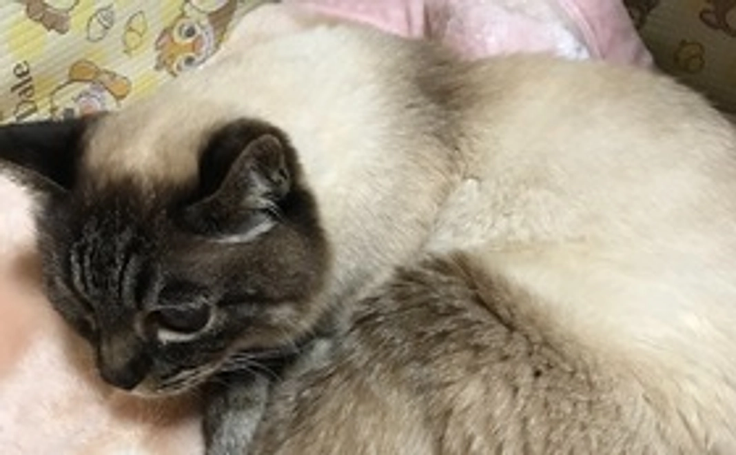 感謝のメール+写真１枚添付します。