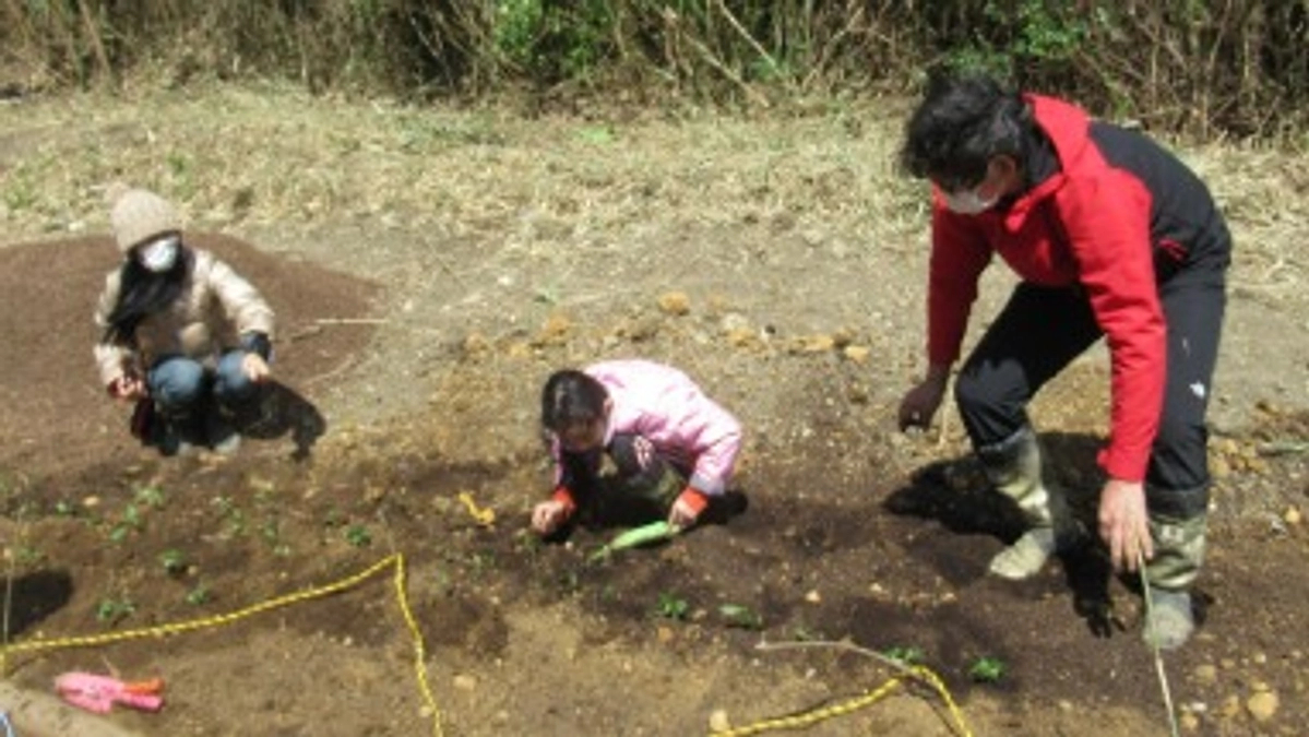 【活動報告】花壇づくり&水辺の環境づくり体験