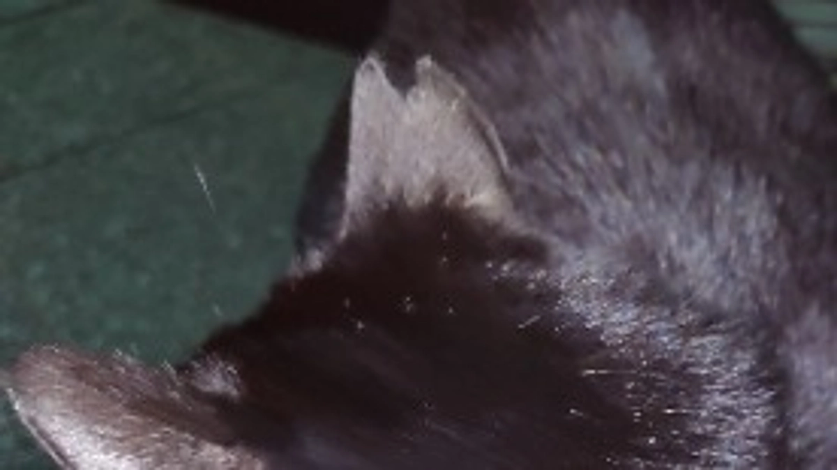 仲良しコンビ。優とリン