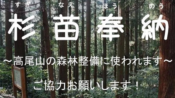 浅川中学校Presents　高尾山のムササビのための杉苗奉納!