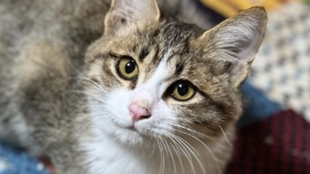 令和6年　初卒業決定！※名前間違い修正版