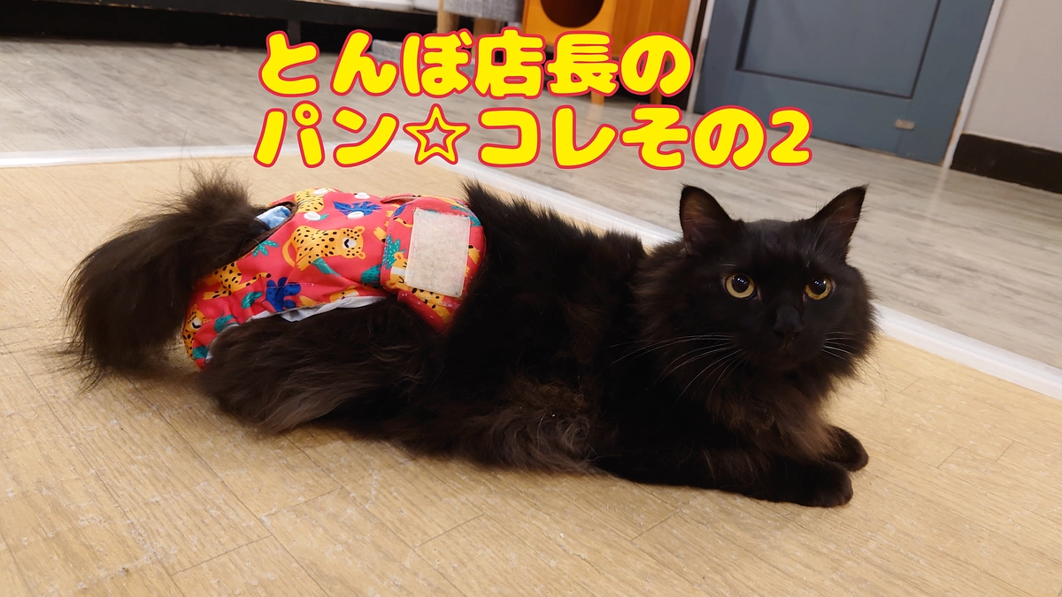 とんぼ店長のパン☆コレ その2。