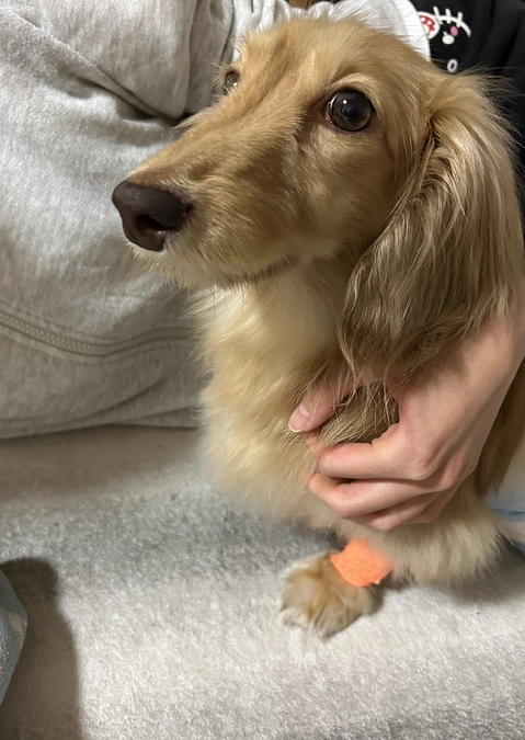 退院しました✨