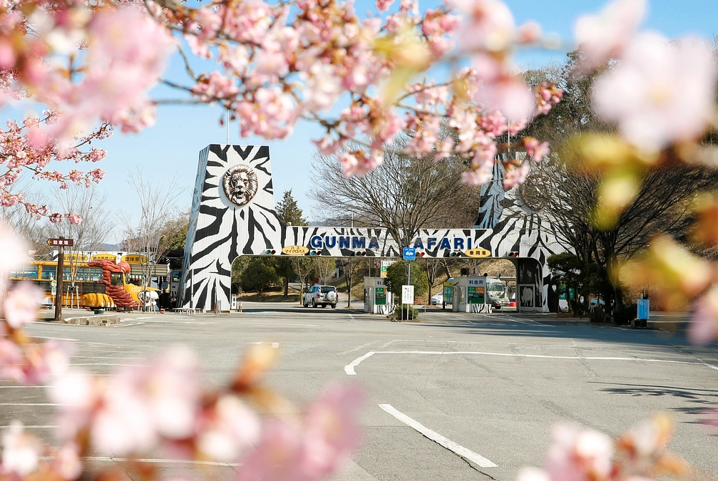 3月16日(土) 今後のご支援について・ご報告～園長からのお礼映像を公開しました～