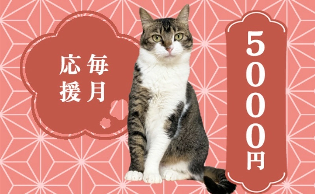 毎月応援5000円コース
