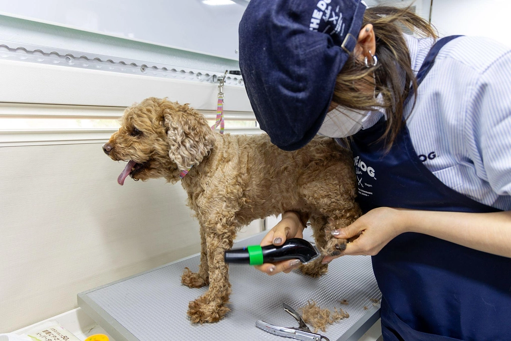 ピースワンコ・ジャパン×THE DOG COMPANY、ペット支援で移動型トリミングサロンサービス！