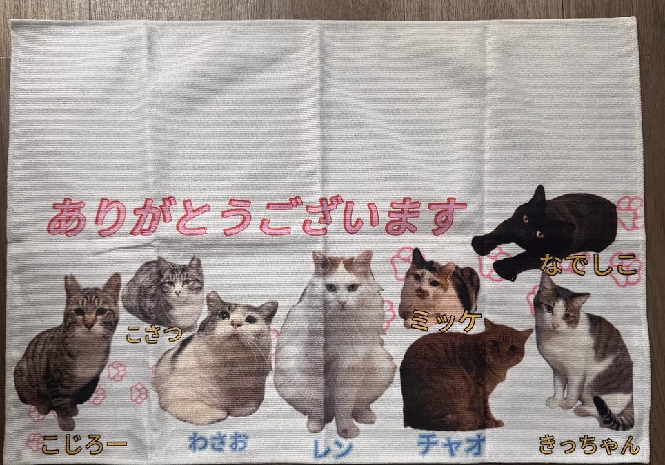 リターンタオルについて