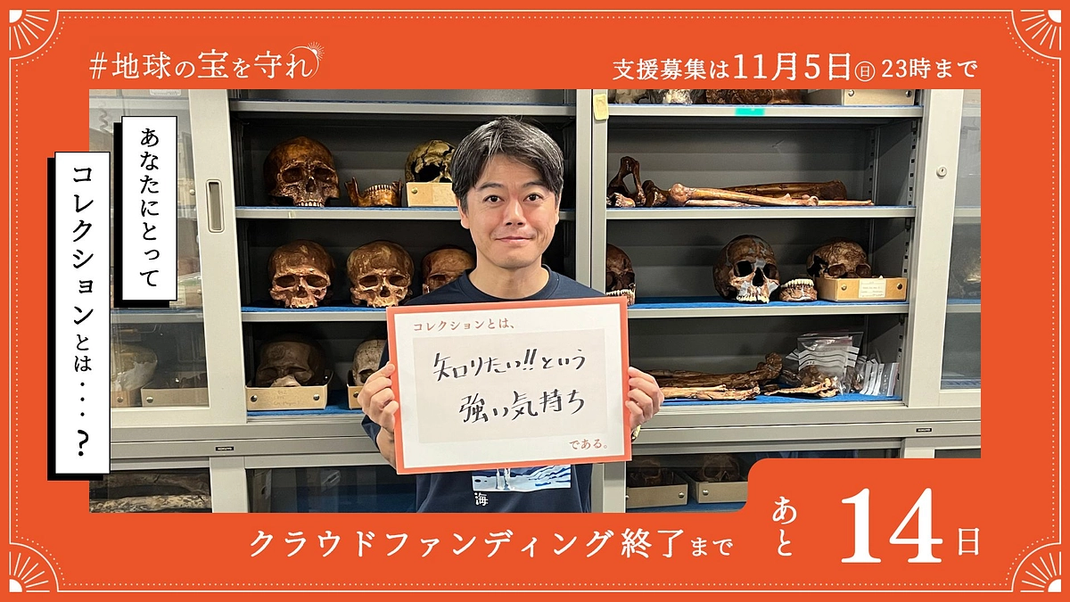 終了まであと14日