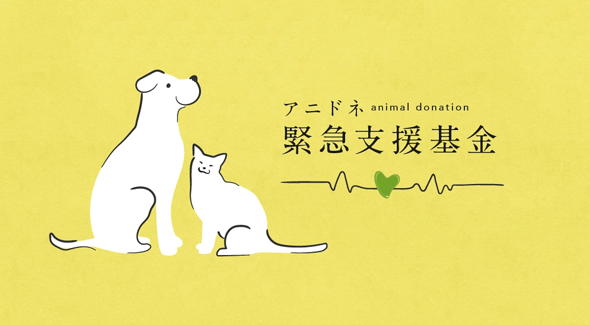 ホームページへご支援者様のお名前を掲載いたしました